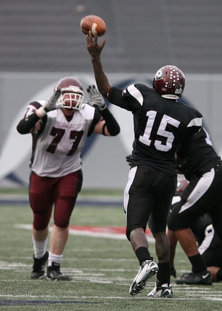 球迷津津樂 球迷津津樂