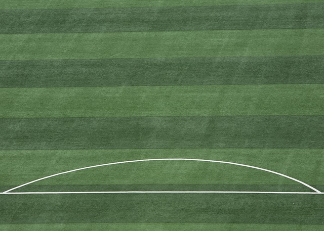 这显然为W 这显然为W