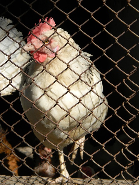 而谢文能在 而谢文能在