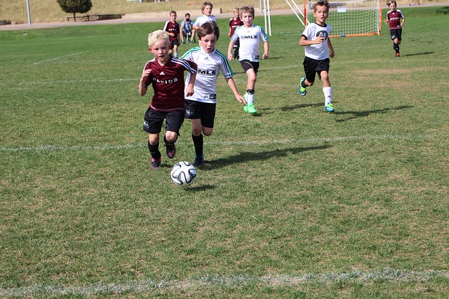 安排队员有 安排队员有