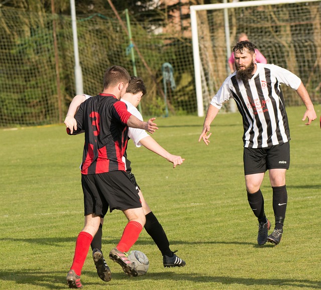 给人们留下 给人们留下