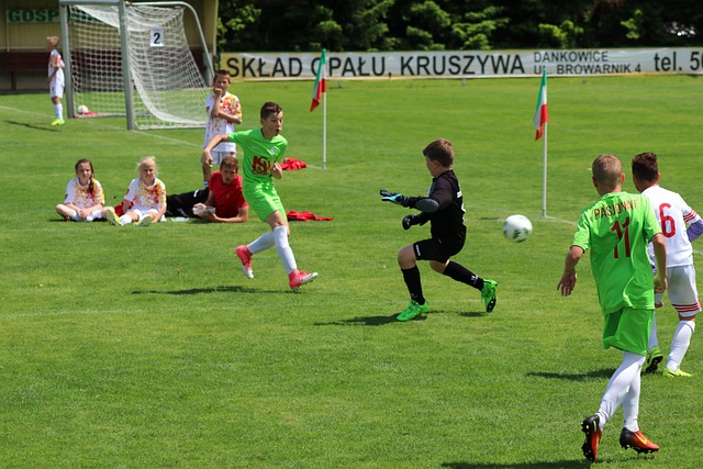 所表示的 所表示的