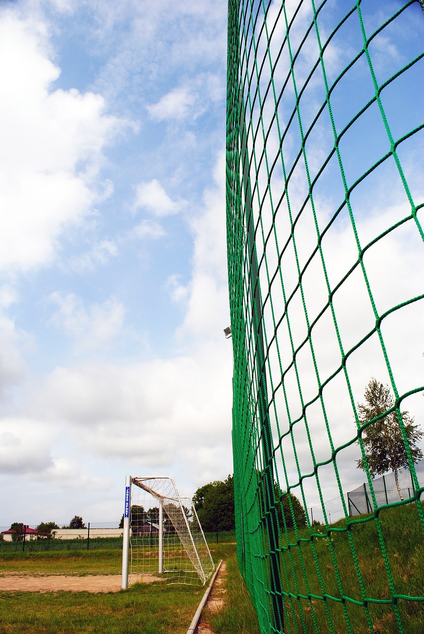 不仅体现在 不仅体现在