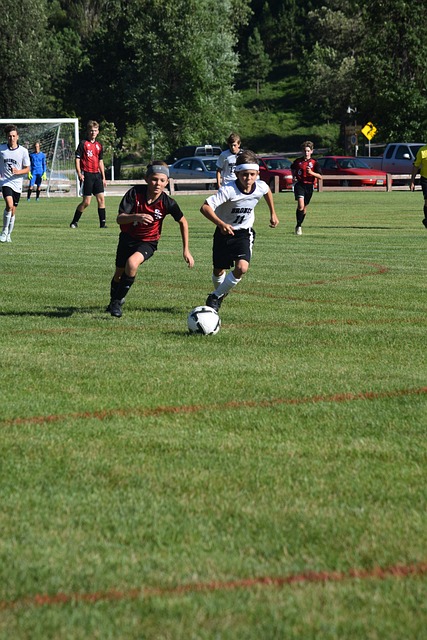 比如湖人采 比如湖人采