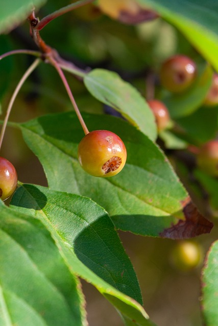 有参与者对 有参与者对