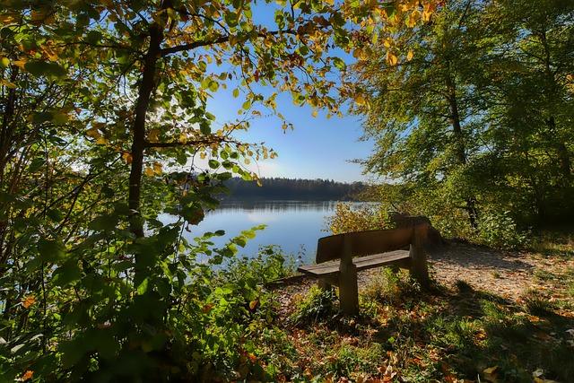 肃性和客观 肃性和客观
