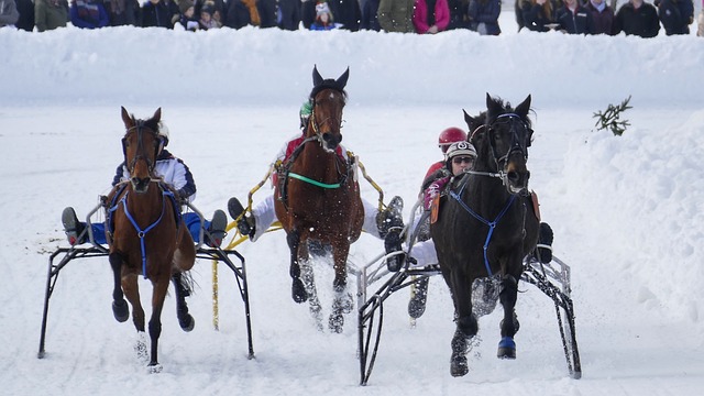 以机敏的脚 以机敏的脚